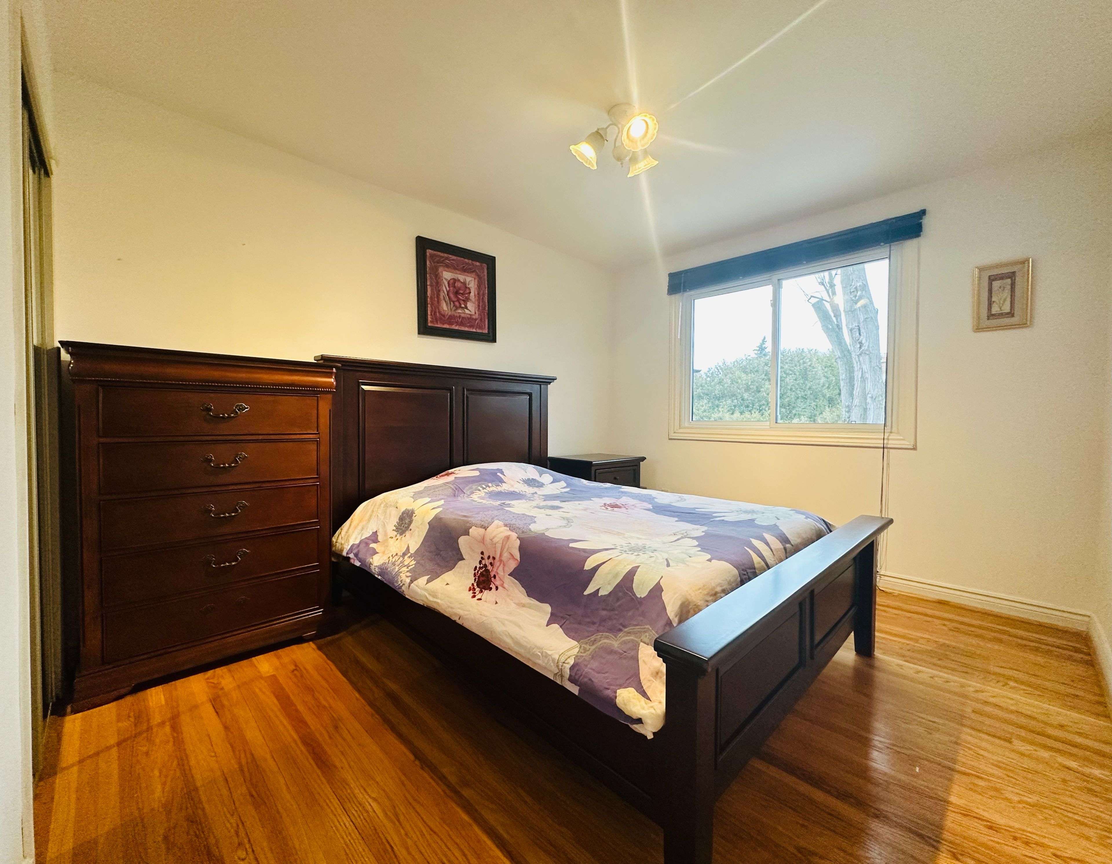 Toronto C15, ON M2H 1E4,62 Bernick RD