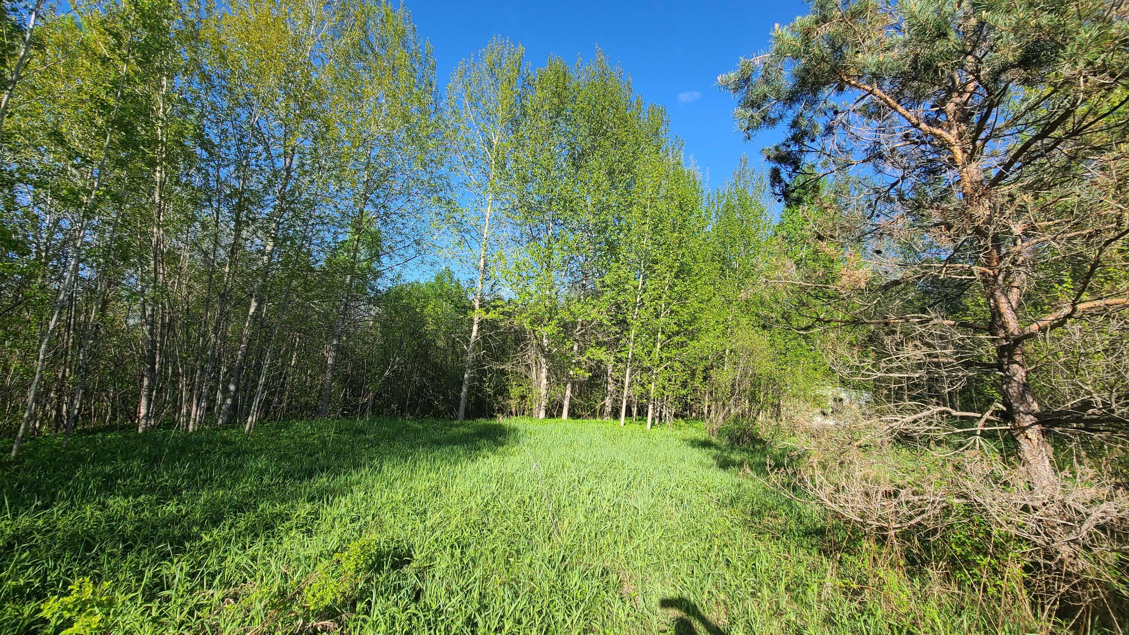 Dysart Et Al, ON K0M 2S0,1400 Eagle Lake RD W