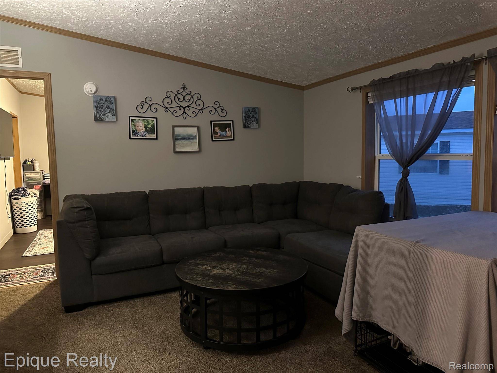 Grand Blanc, MI 48439,13 Fox hound CT