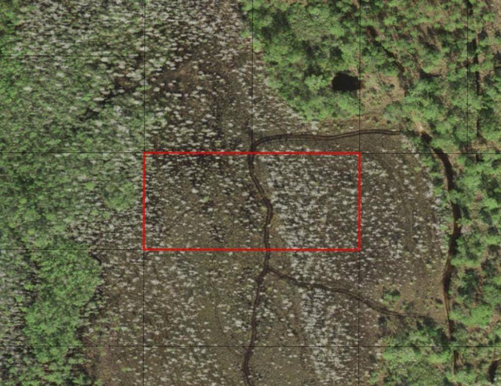 St. Cloud, FL 34772,0 HOLOPAW GROVES RD