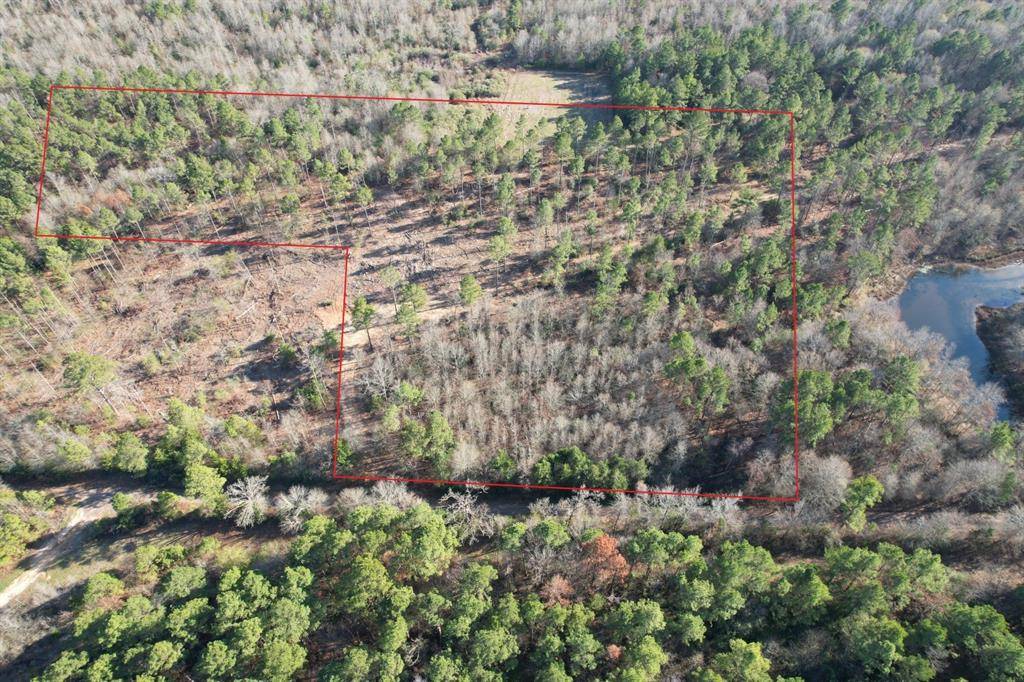 Beckville, TX 75631,TBD-D County Road 216