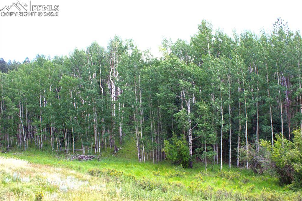 Cripple Creek, CO 80814,344 Grey Eagle DR