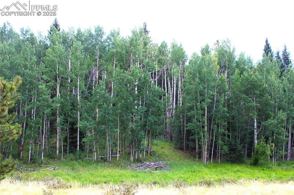 Cripple Creek, CO 80814,344 Grey Eagle DR