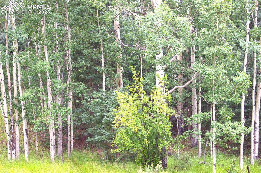 Cripple Creek, CO 80814,344 Grey Eagle DR