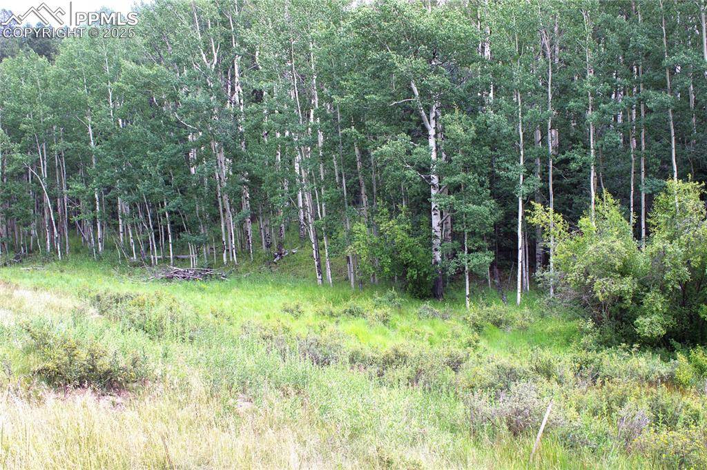 Cripple Creek, CO 80814,344 Grey Eagle DR