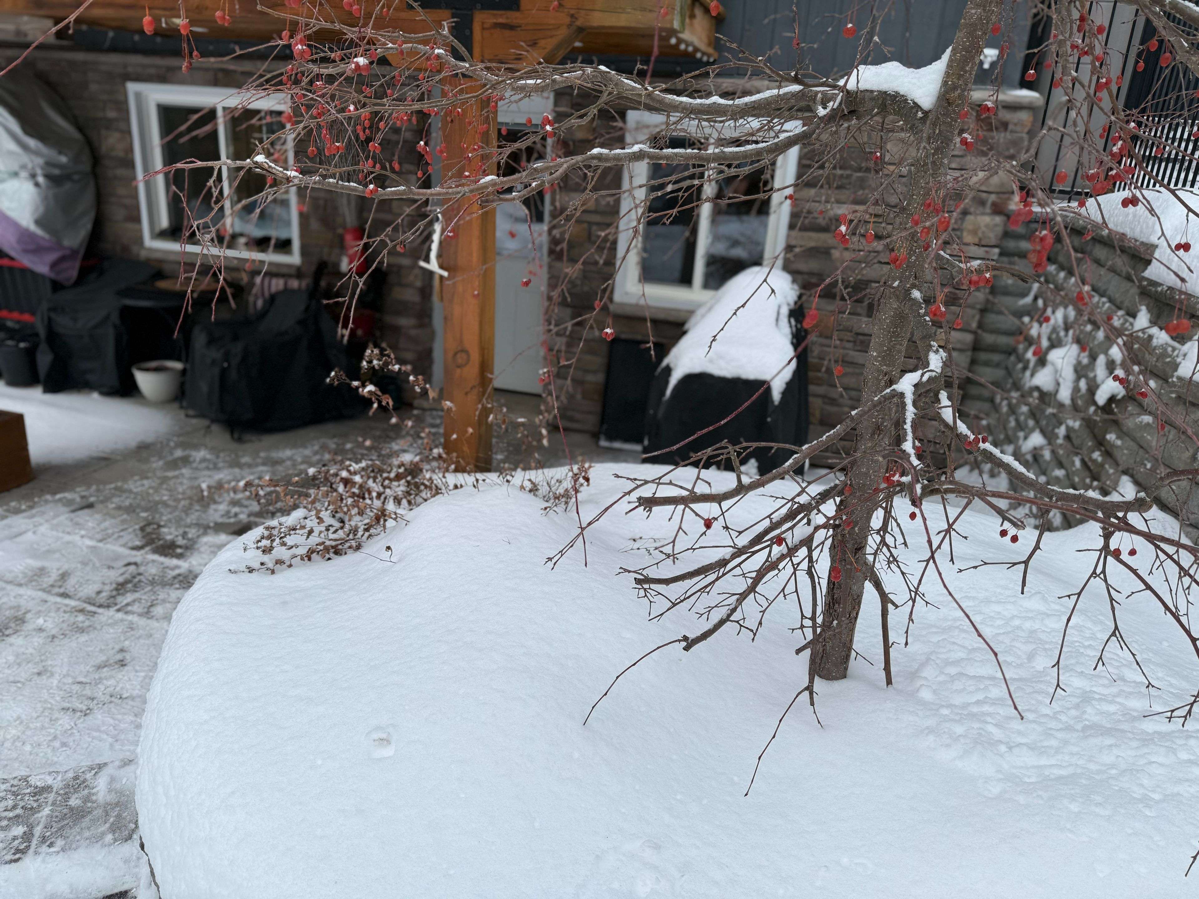 Lanark Highlands, ON K0A 3L0,579 Peneshula RD #Getaway