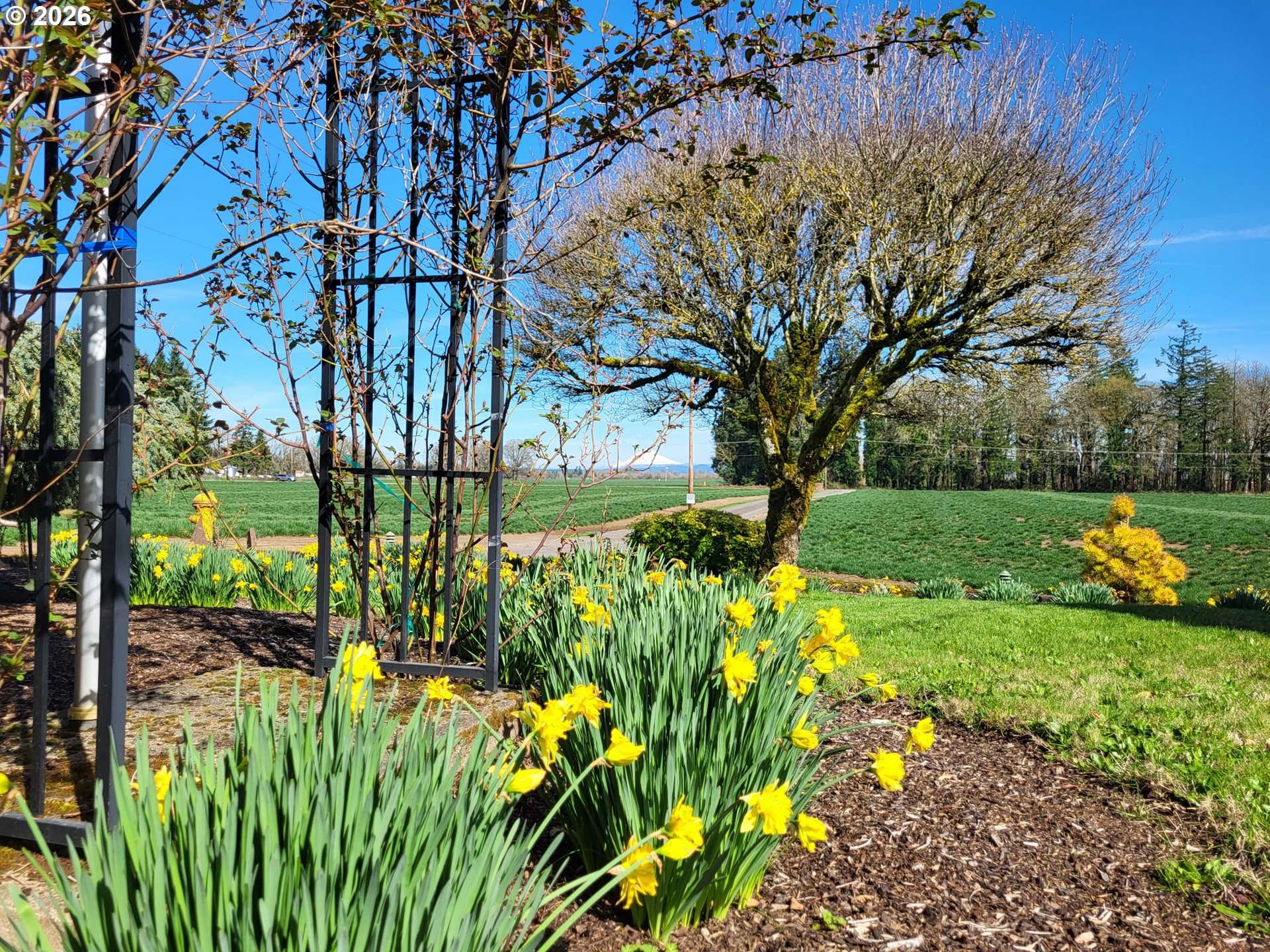 Aurora, OR 97002,6884 S HANSEN LN