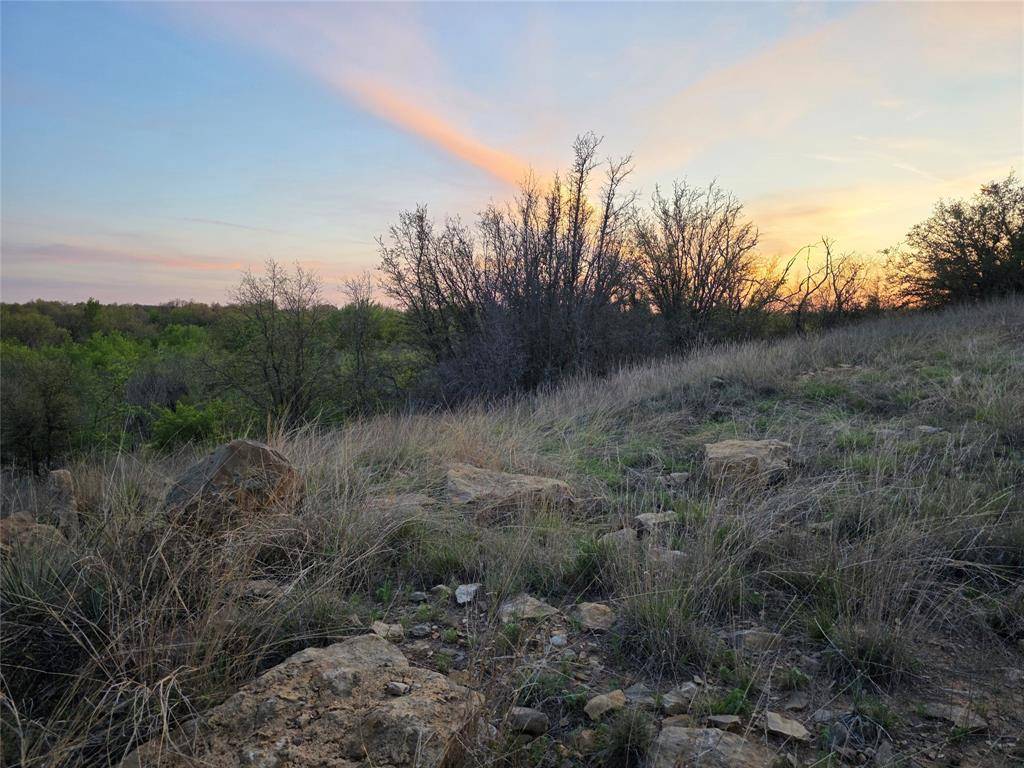 Gorman, TX 76454,0 County Rd 303