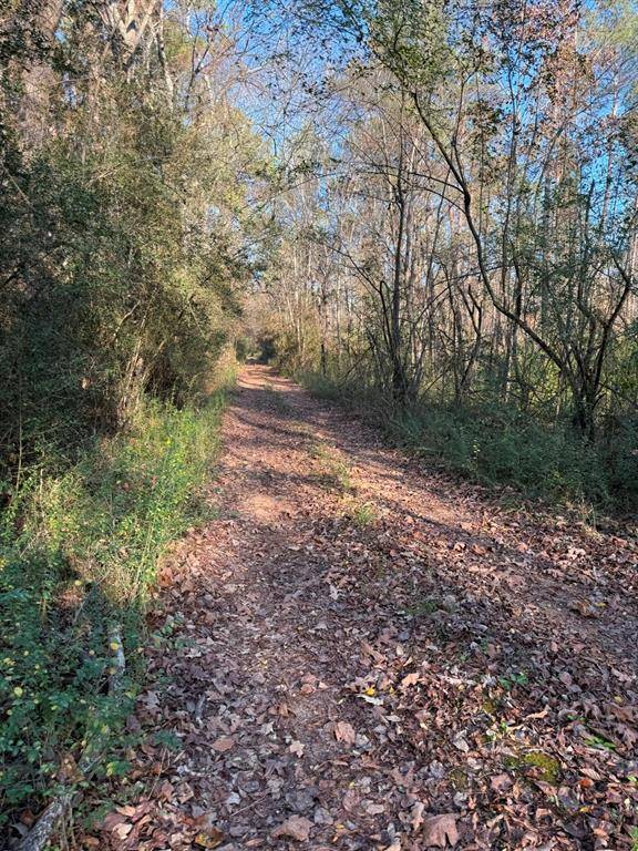 TBD-E County Road 216, Beckville, TX 75631