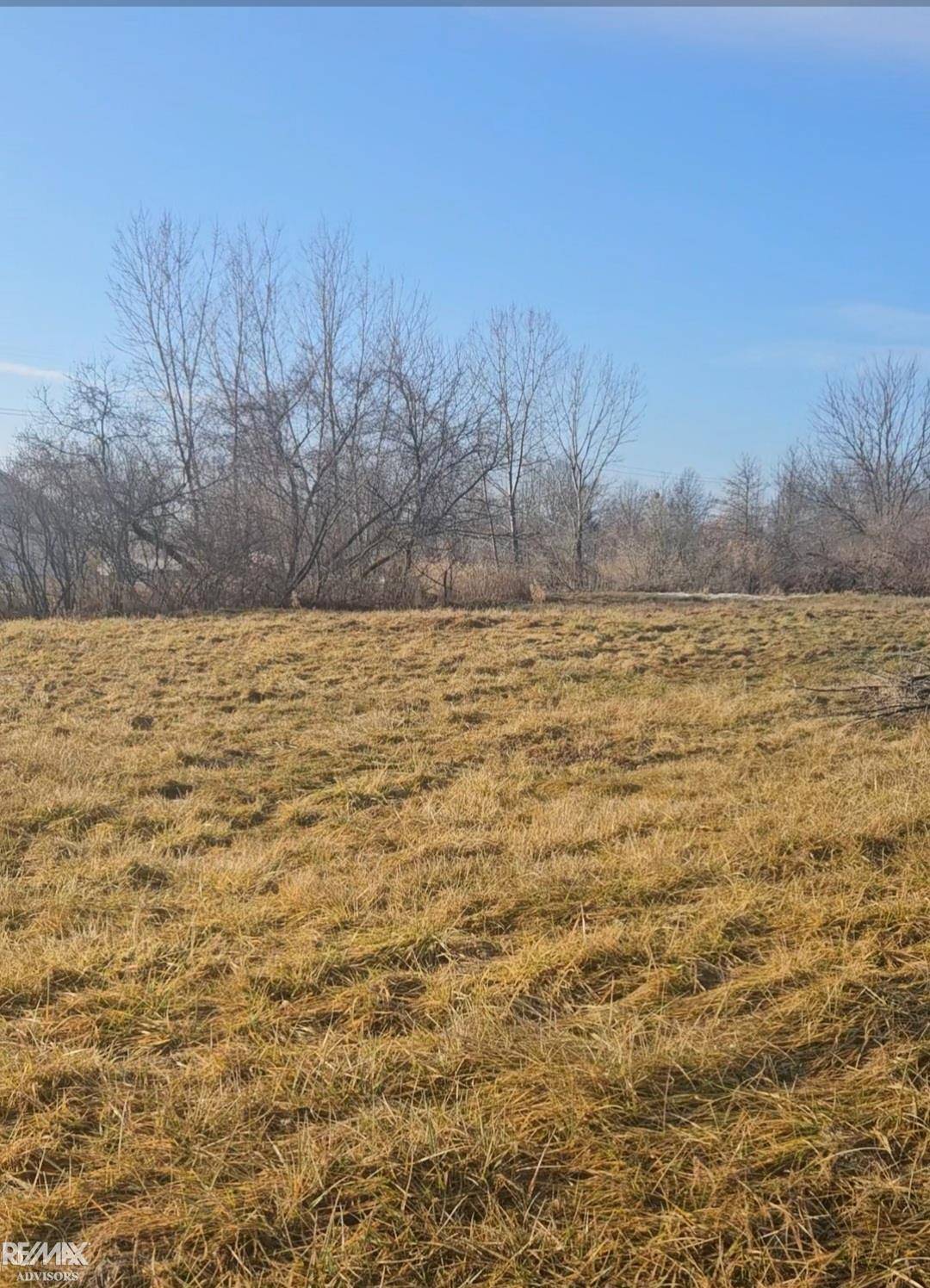 Casco, MI 48064,5082 palms RD