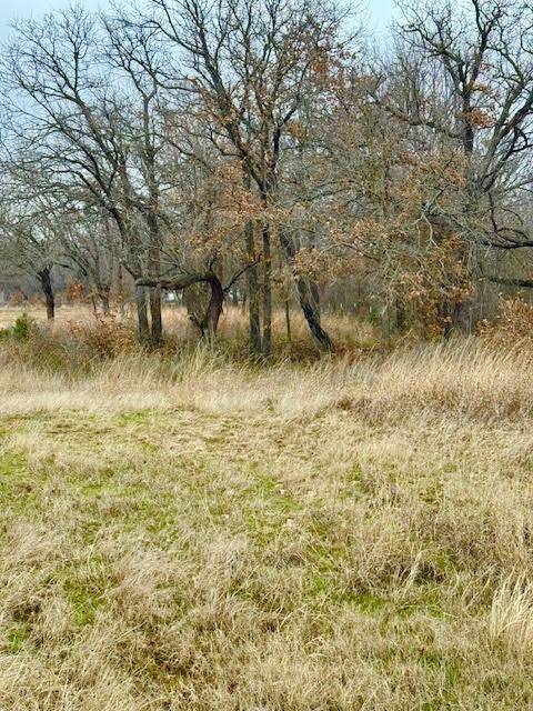 Boyd, TX 76023,702 County Road 3597