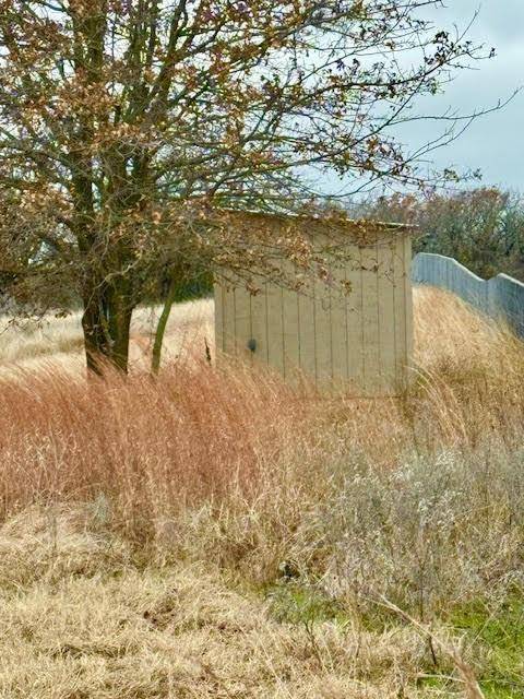 Boyd, TX 76023,702 County Road 3597