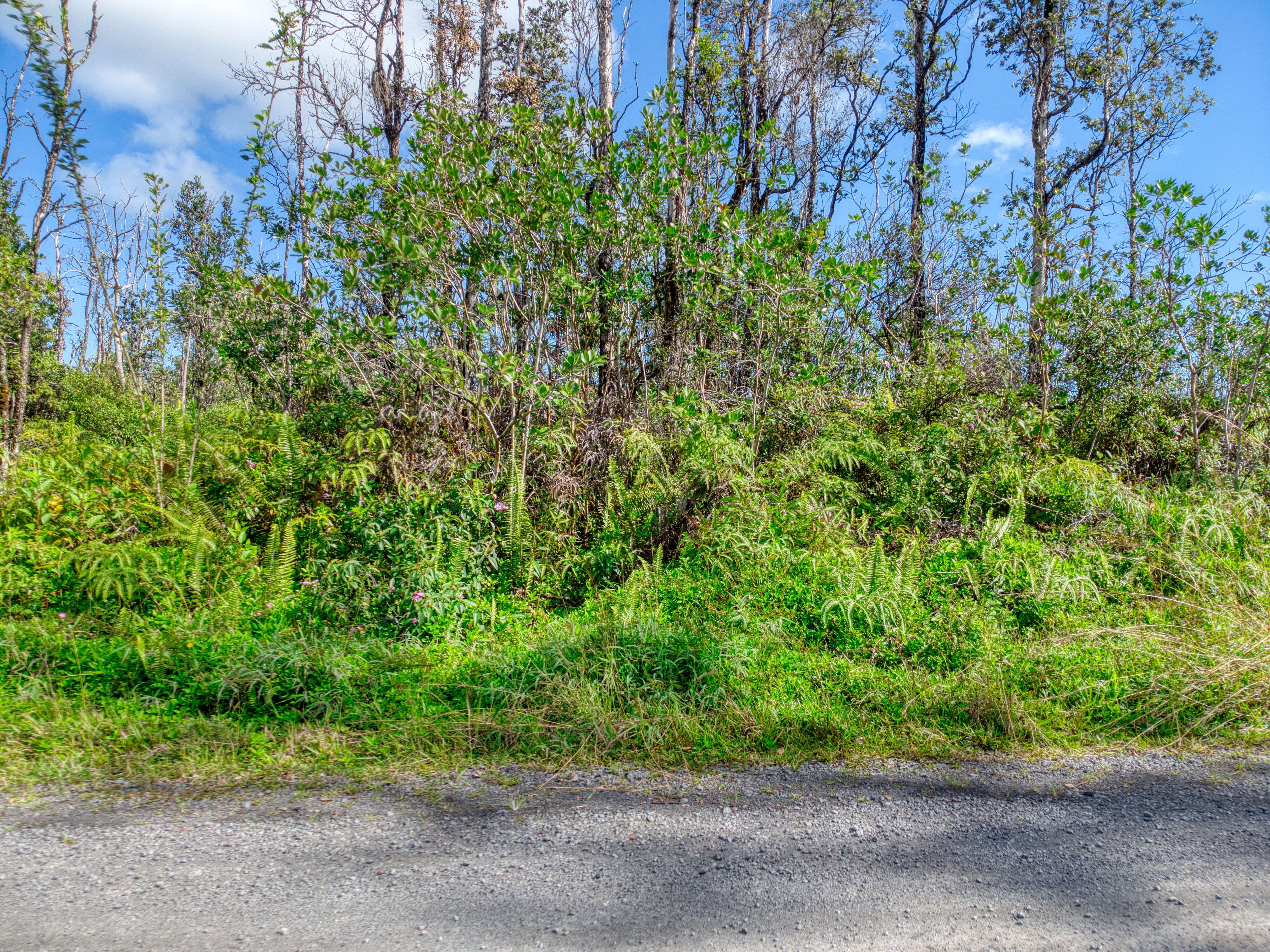 Keaau, HI 96749,28TH AVE