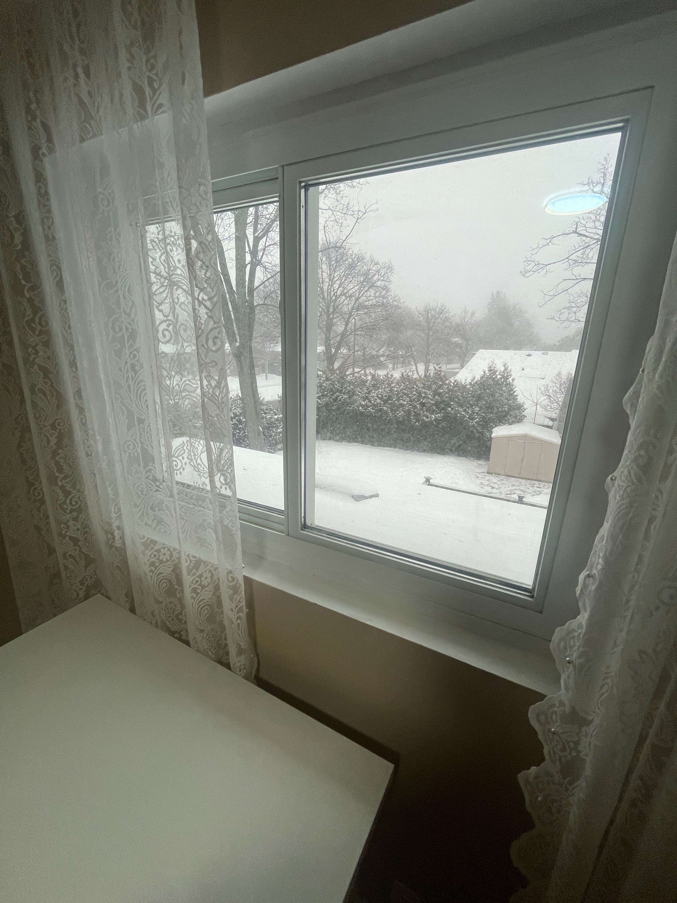 Toronto E09, ON M1G 3P4,Address not disclosed