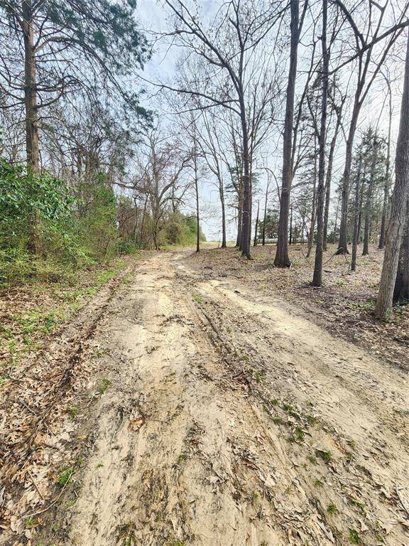 Mineola, TX 75773,TBD WALNUT ST