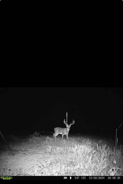 Saint Jo, TX 76265,0000 FM 3206