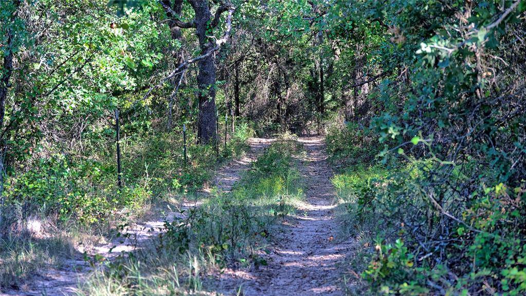 Saint Jo, TX 76265,0000 FM 3206