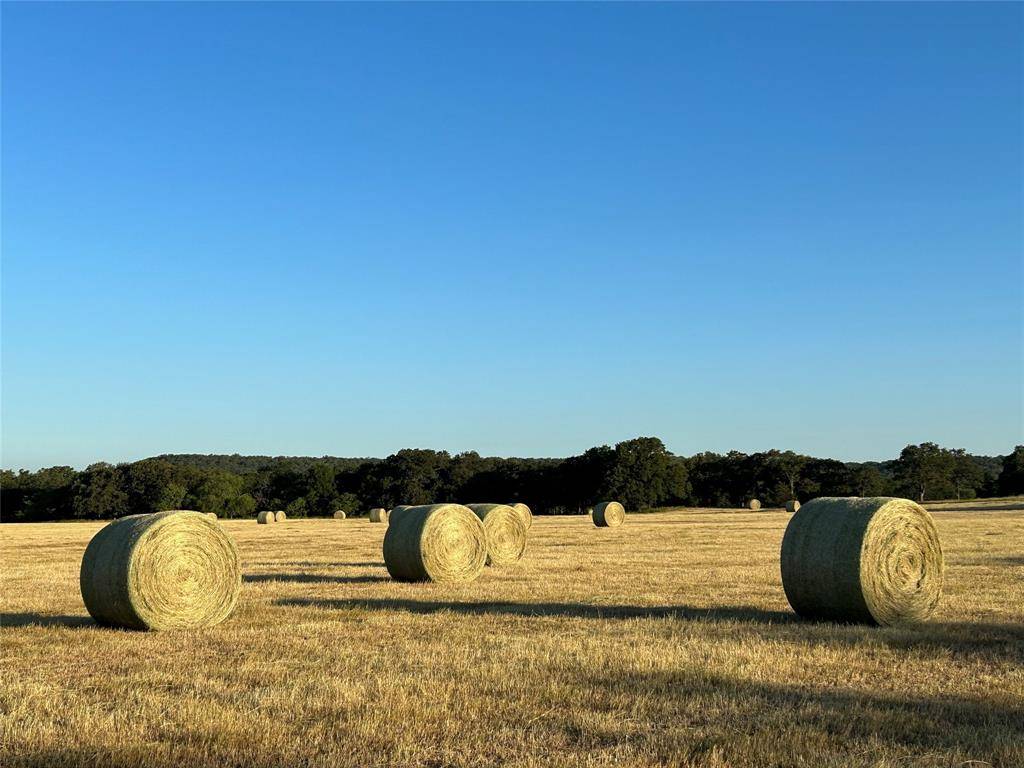 Millsap, TX 76066,000b Wilson Bend Road