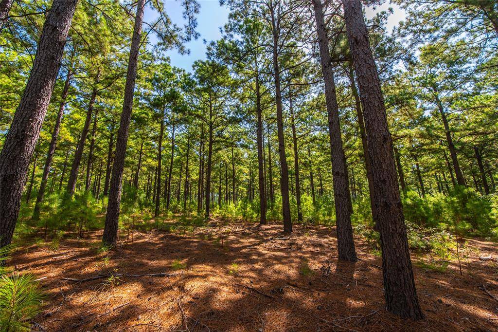 Frankston, TX 75763,000 State Highway 155