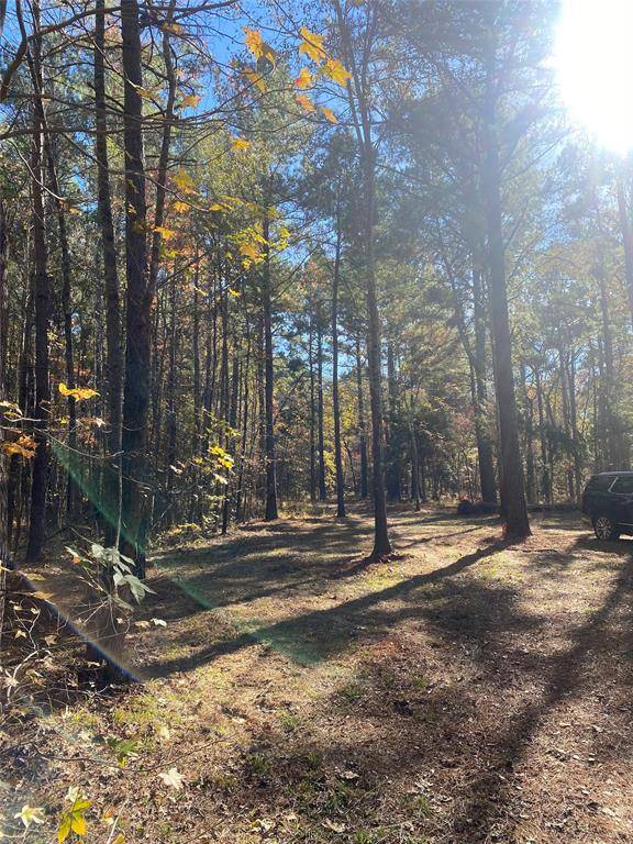 Ben Wheeler, TX 75754,44.2 Acres State Hwy 64