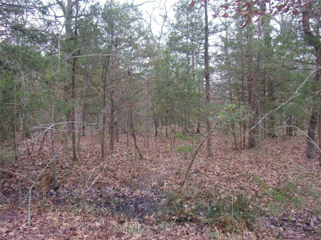 Murchison, TX 75778,000 Hideaway