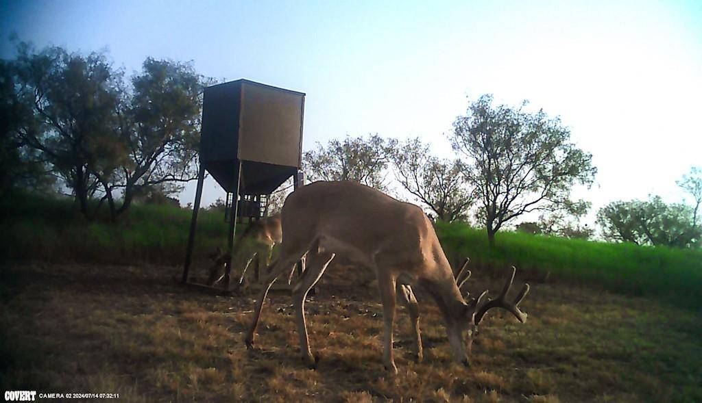 Brady, TX 76825,2267 County Road 414