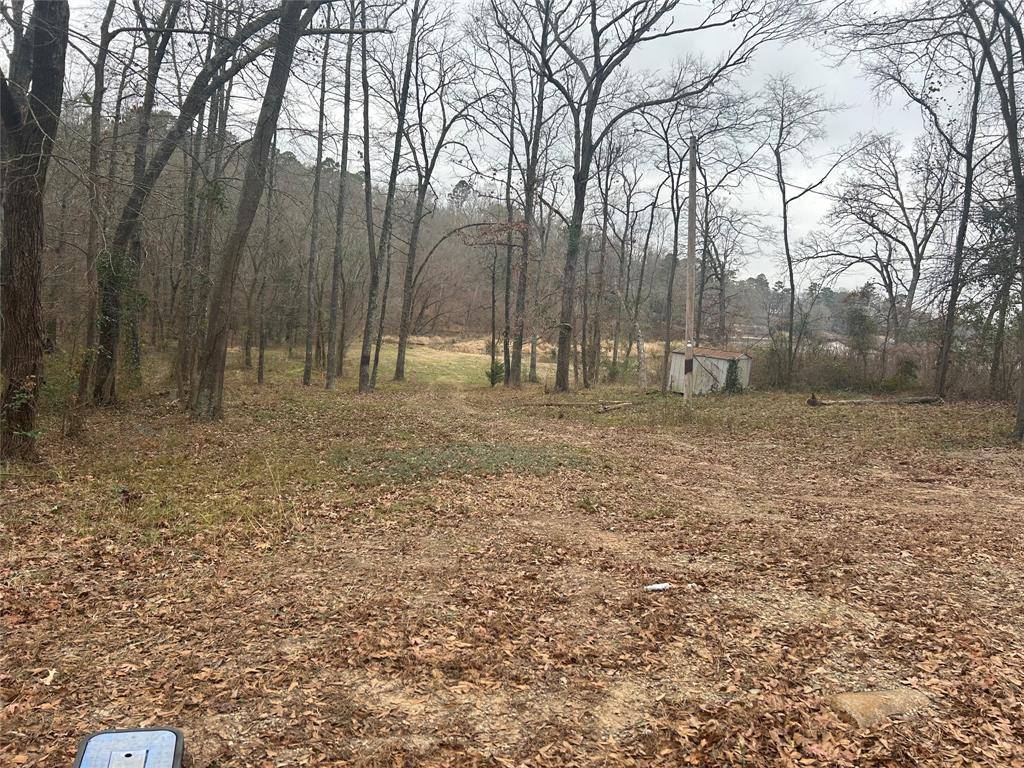 Scroggins, TX 75480,7 Sandy Lake