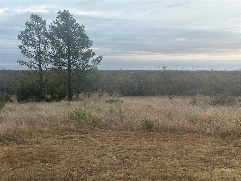 Abilene, TX 79601,430 CR 150