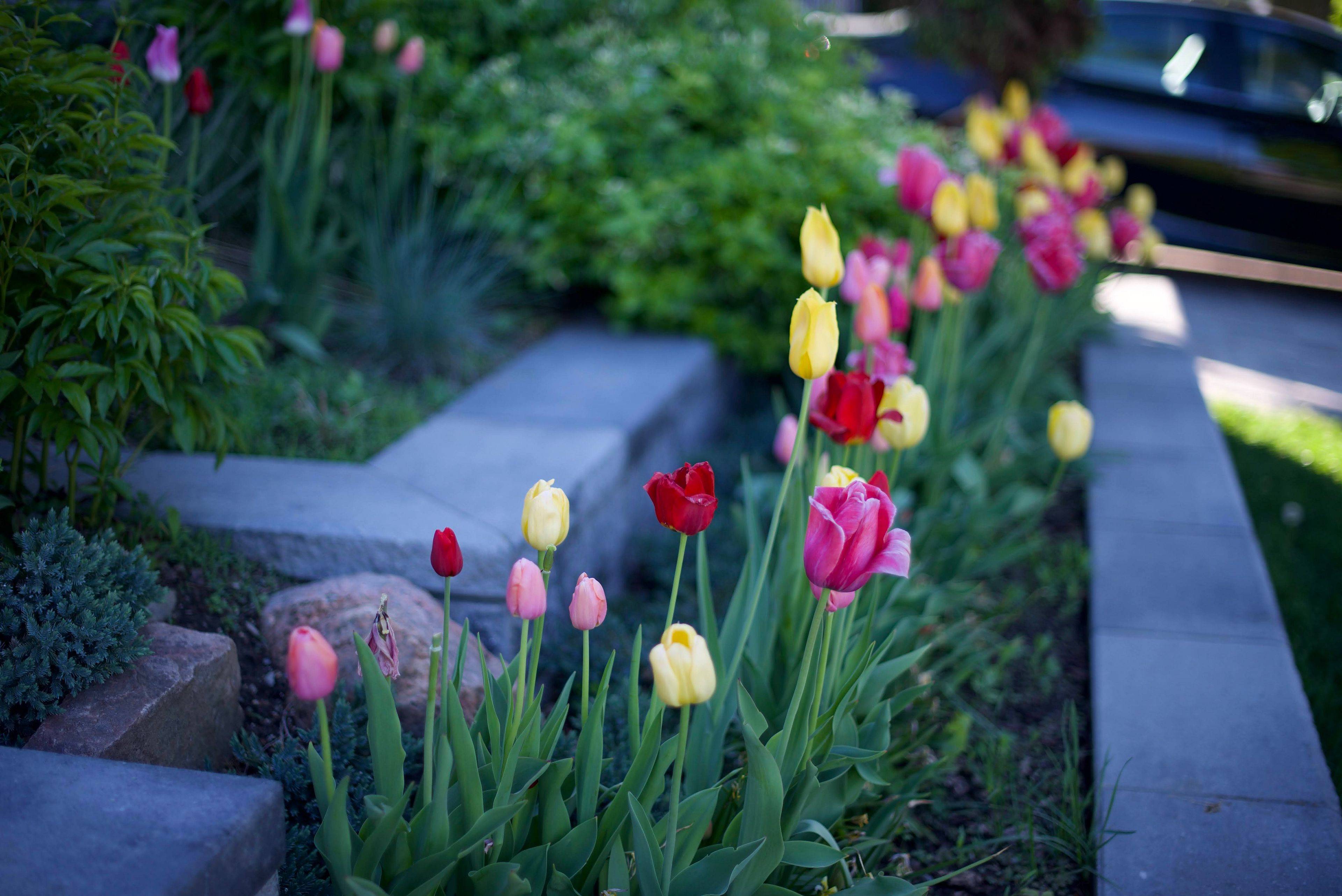 Toronto E05, ON M1T 2C4,222 Cass AVE #Main