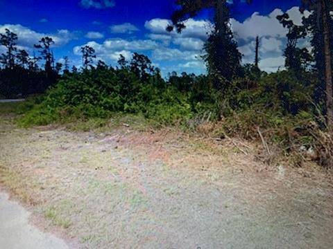 Lehigh Acres, FL 33974,729 Ontario Ave
