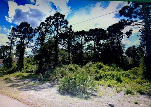 Lehigh Acres, FL 33974,729 Ontario Ave