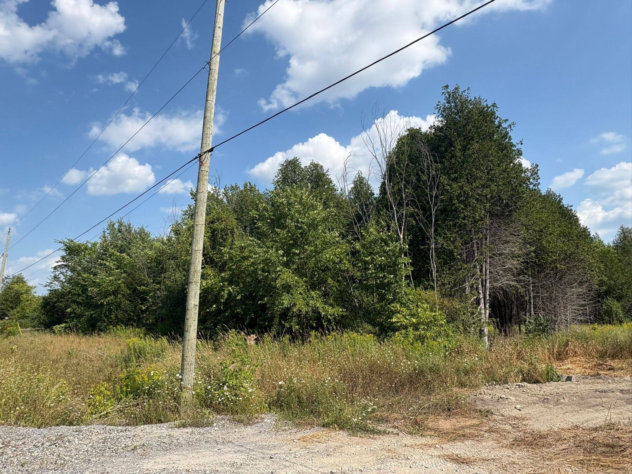 Greely - Metcalfe - Osgoode - Vernon And Area, ON K4P 1H2,6248 Nick Adams RD