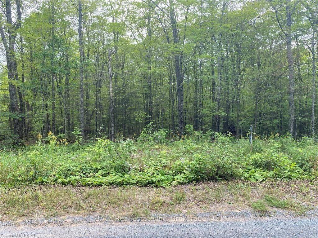 Marmora And Lake, ON K0L 1P0,N/A PCL 45-2 SEC M63 RD