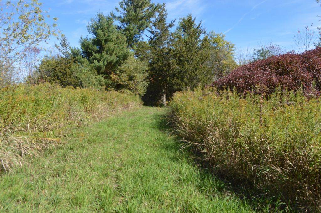 Brighton, ON K0K 1H0,00 Scriver RD