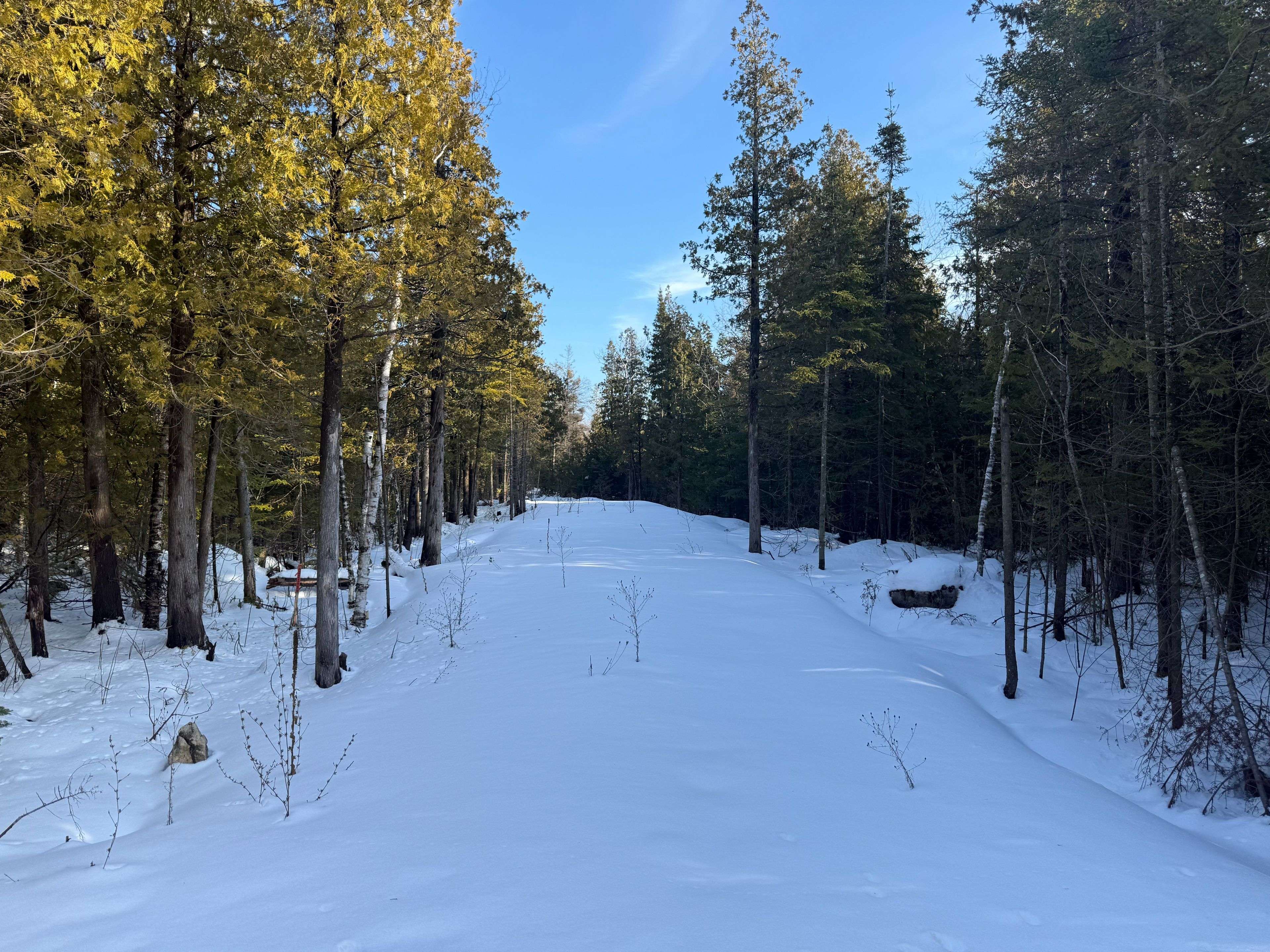 Northern Bruce Peninsula, ON N0H 2R0,58 Harpur DR