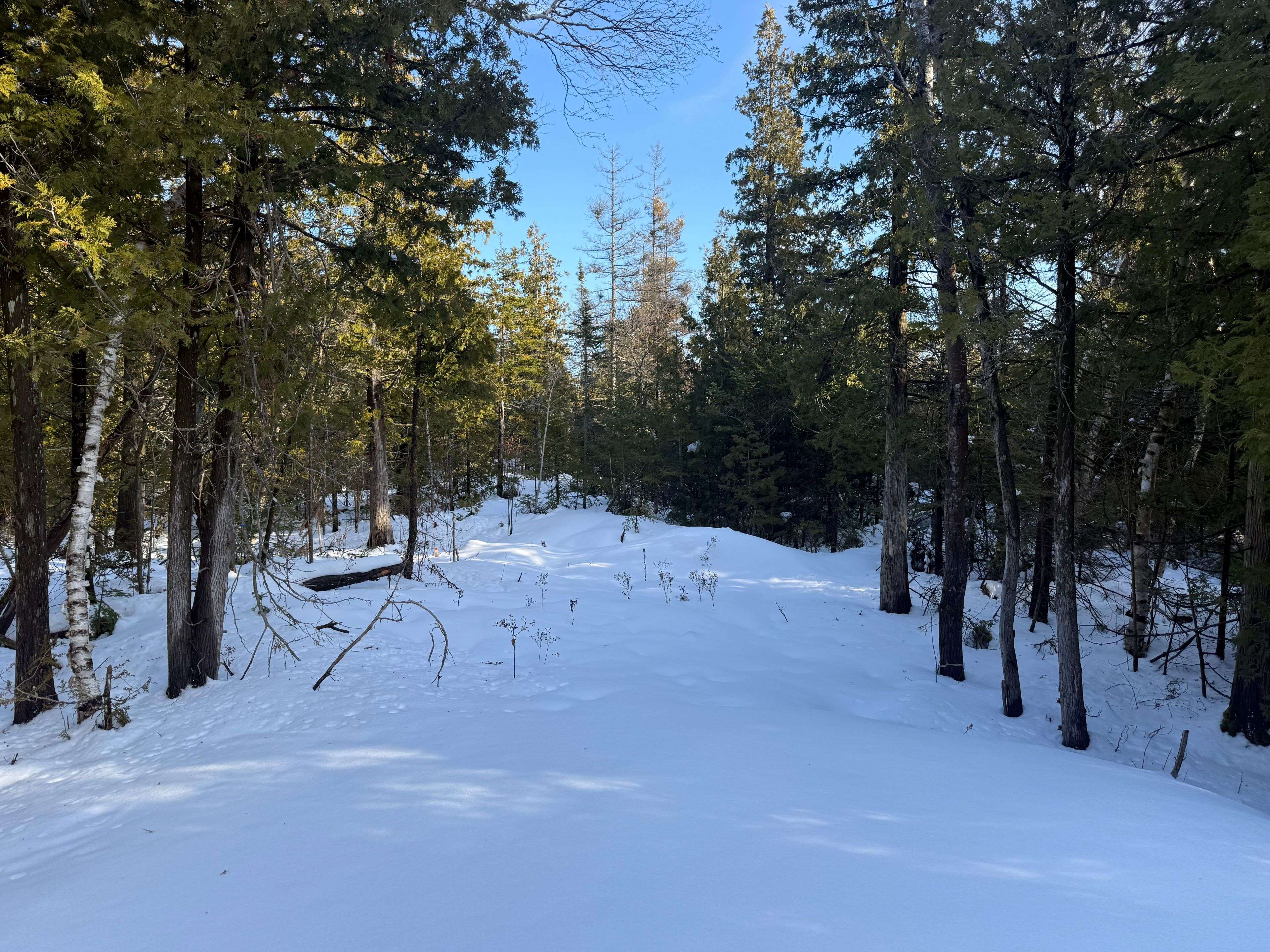 Northern Bruce Peninsula, ON N0H 2R0,58 Harpur DR