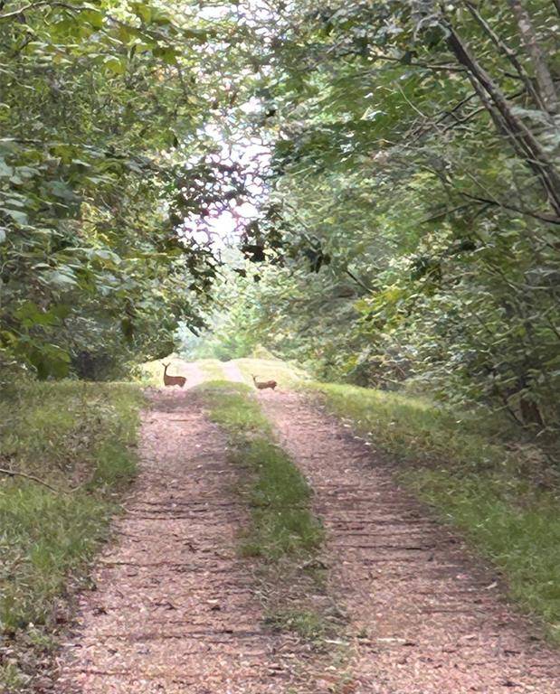 Bogata, TX 75417,TBD PR 5042