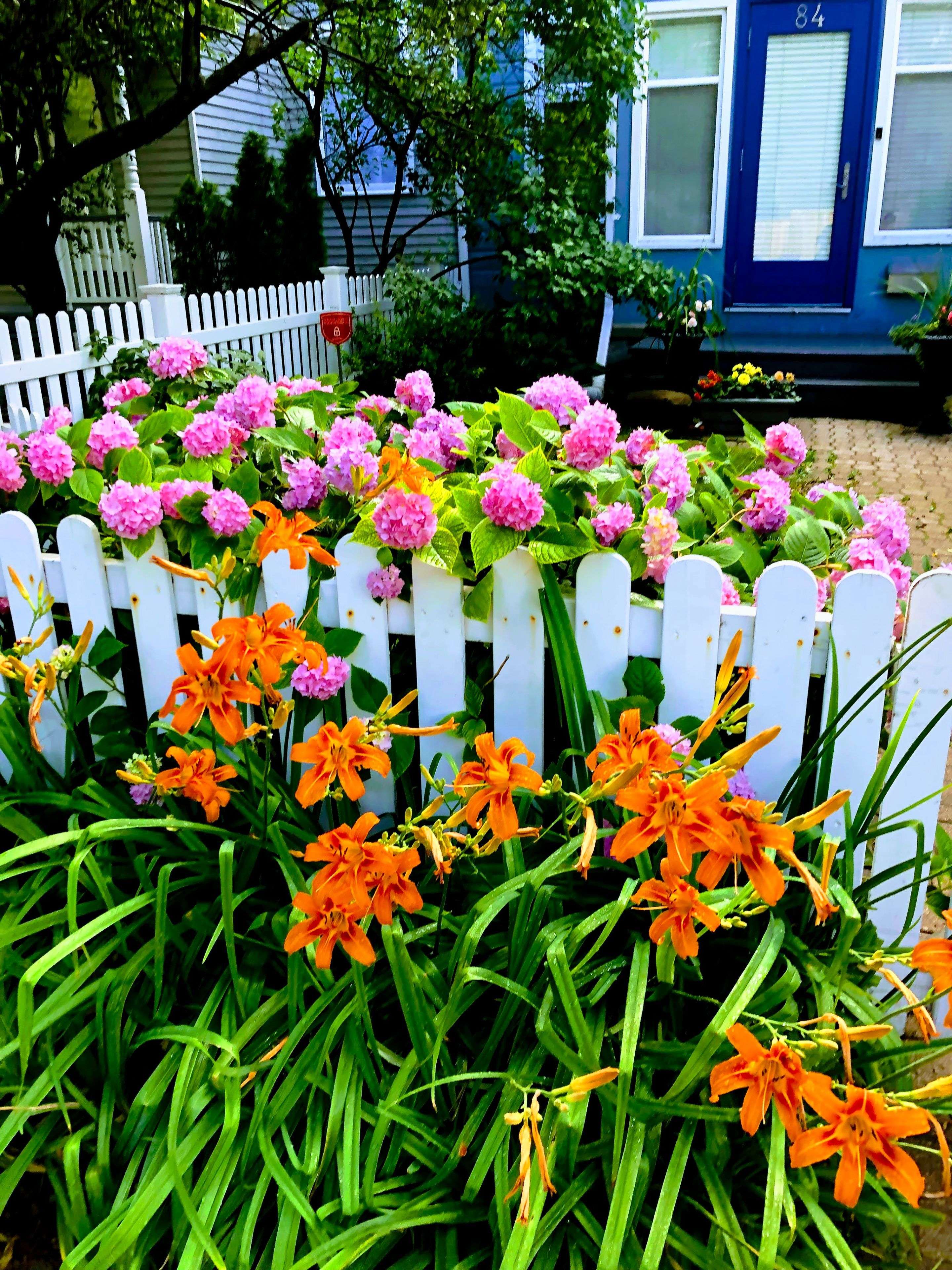 Toronto E03, ON M4K 2L4,84 Cambridge AVE