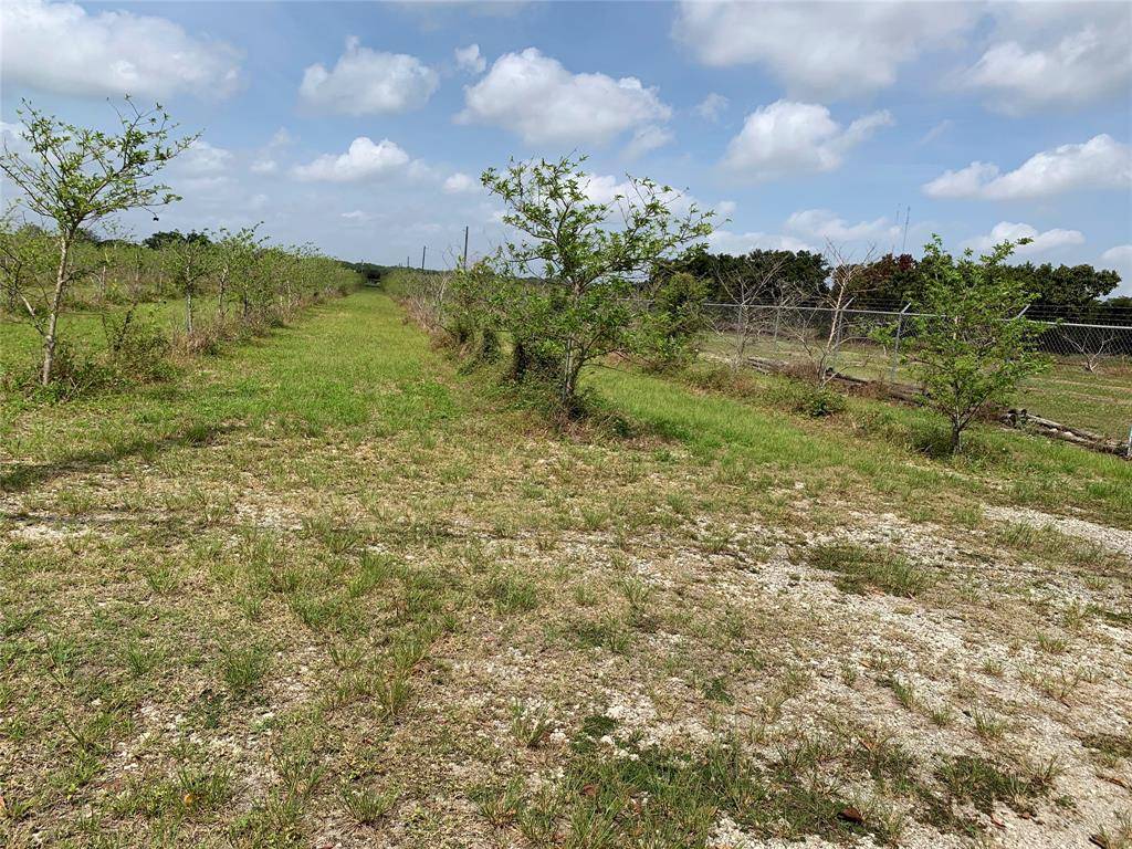 Miami, FL 33170,149XX SW 224 St