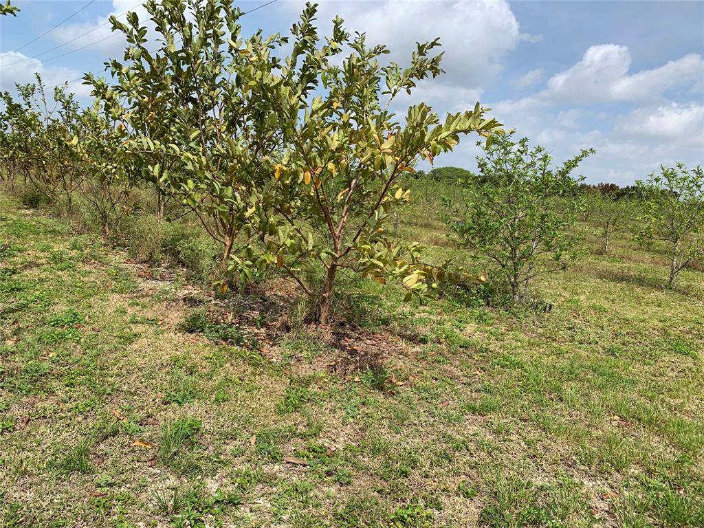 Miami, FL 33170,149XX SW 224 St