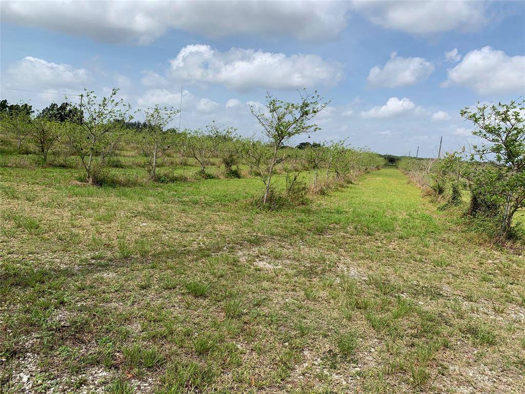 Miami, FL 33170,149XX SW 224 St