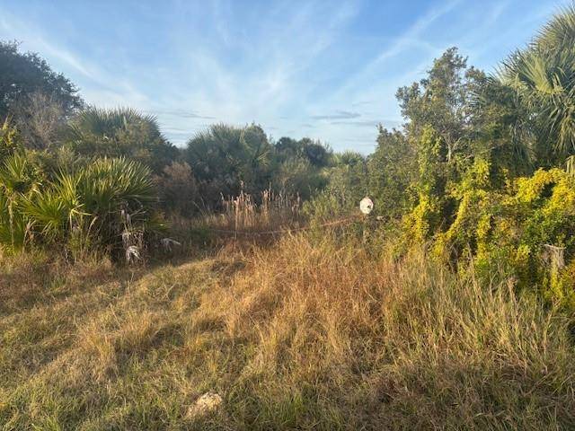 Okeechobee, FL 34972,20745 NW 302nd St