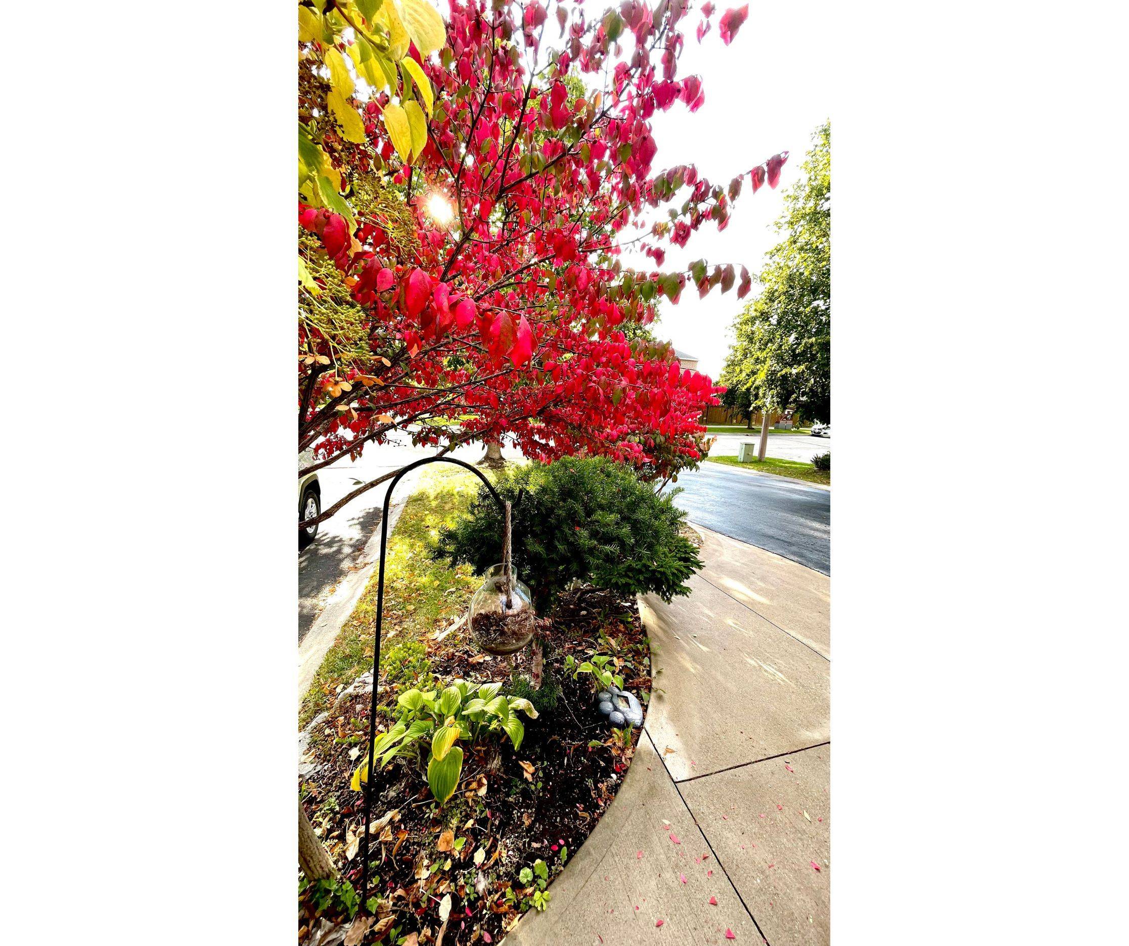 Vaughan, ON L6A 3N7,31 Giotto CRES SW