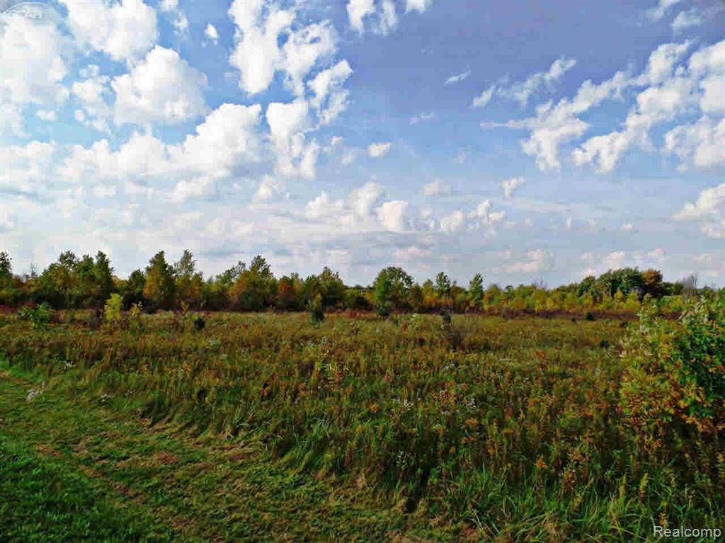 Flint, MI 48532,9147 Corunna RD