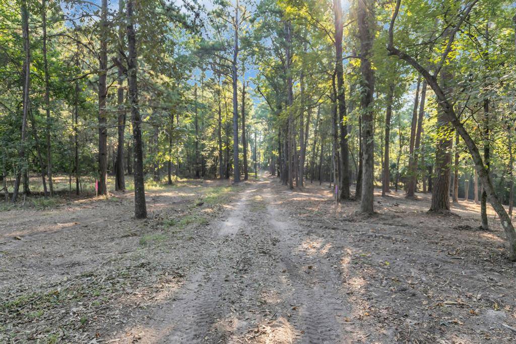 Tyler, TX 75707,Lot 20-B Eastside Road