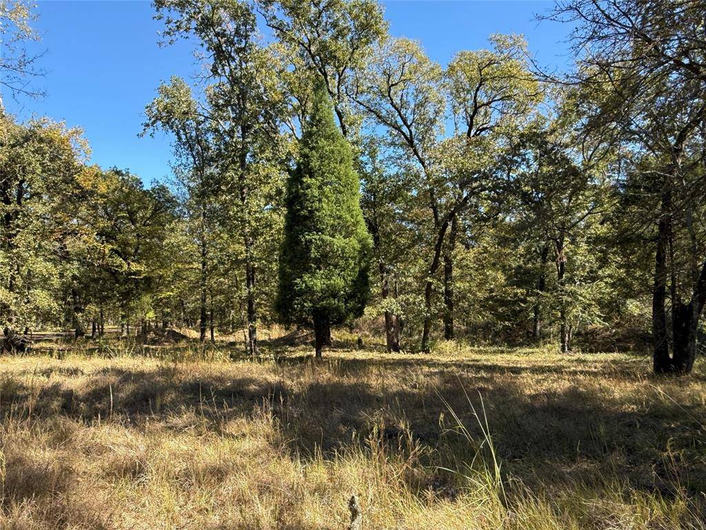 Malakoff, TX 75148,15801 Maple Lane