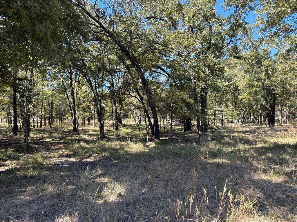 Malakoff, TX 75148,15801 Maple Lane