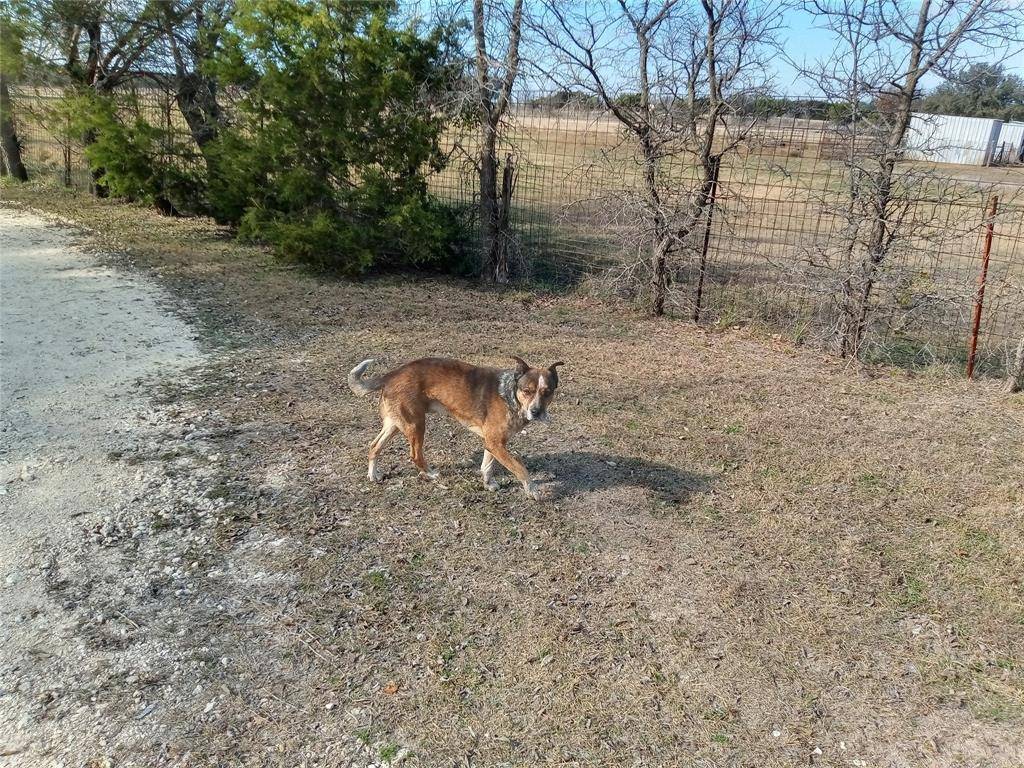 Meridian, TX 76665,912 county road 2357 Road