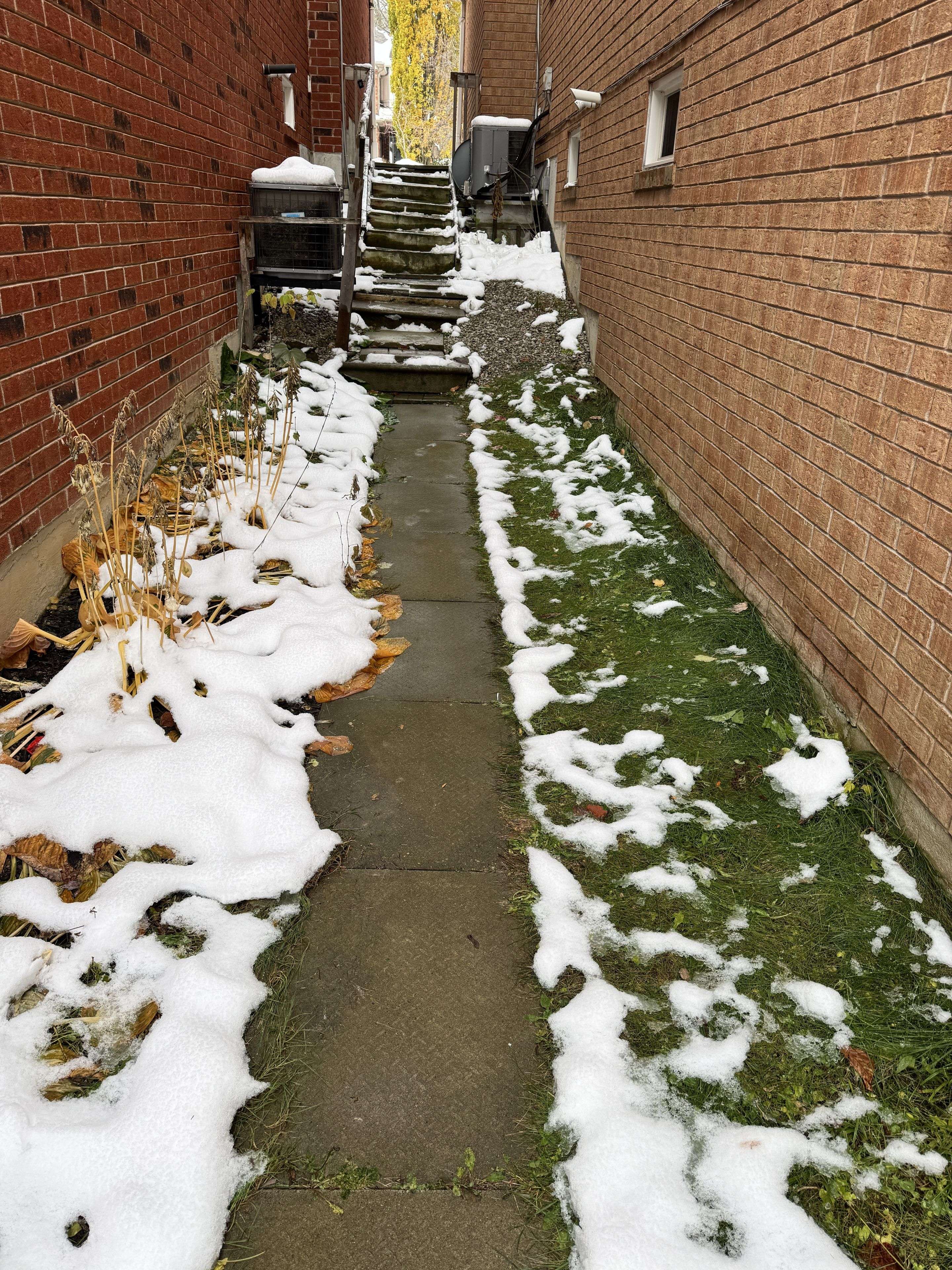 Newmarket, ON L3X 2L8,396 Hewitt CIR #Bsmt