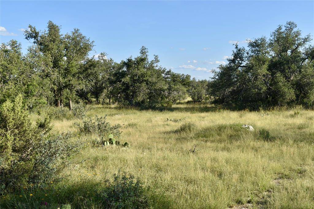 Menard, TX 76841,1 Cave Wells Ranch